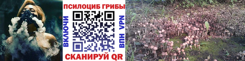 Галлюциногенные грибы прущие грибы Берёзовский